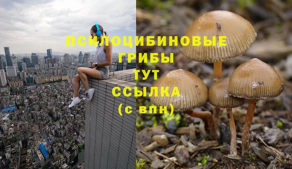 каннабис Володарск