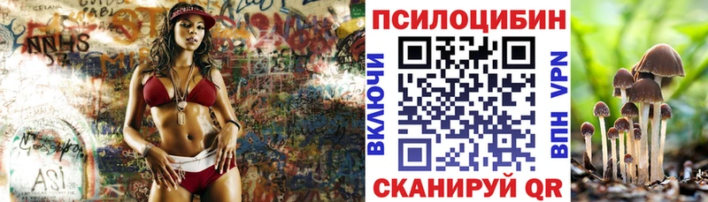 Псилоцибиновые грибы Psilocybine cubensis  Купить закладки  Кубинка 