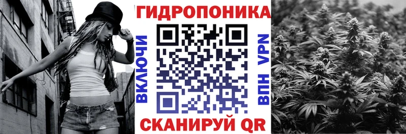 Купить закладки  Кубинка  Бошки марихуана AK-47 